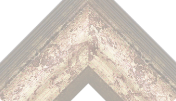 5.variable_frame_unselected-2